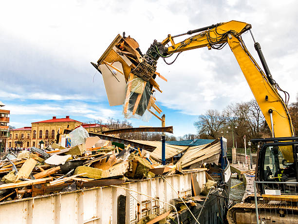 Yard Cleanup Services in High Rolls, NM
